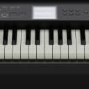 Roland FP-E50 88-Key Digital Piano - In Stock