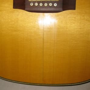 Cort Earth 500 Acoustic Dreadnought Guitar image 5