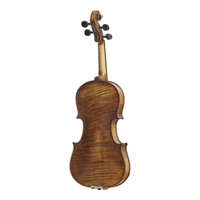 Stentor 1864A Verona Series Advanced Students Full Size 4/4 Violin Outfit w/Deluxe Case & Bow image 3