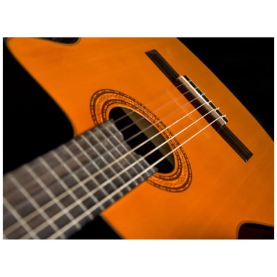 Washburn C5CE Classical Cutaway Acoustic Electric Guitar, Natural image 5