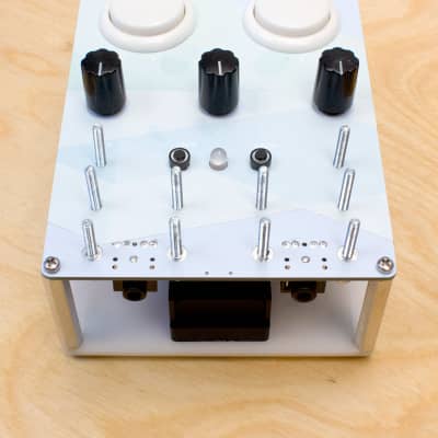 Bleep labs THE DELAYDELUS ジャンク Bleep Labs Delaydelus | Reverb