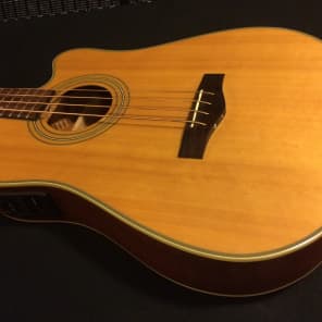 fender エレアコベース BG29 fender エレアコベース BG29 Fende