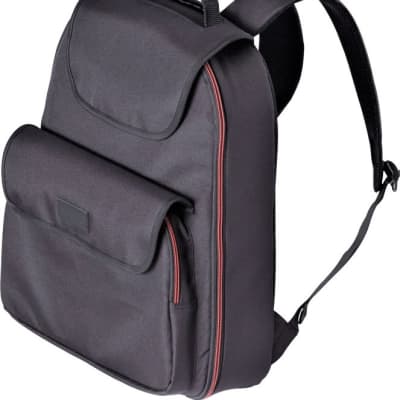 Roland Soft-Side Carrying Bag for HPD-10, SPD-S, SPD-20, SPD-30
