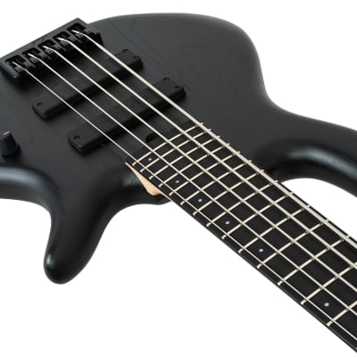 Elrick Standard Series e-volution 5-String Bass Black image 6