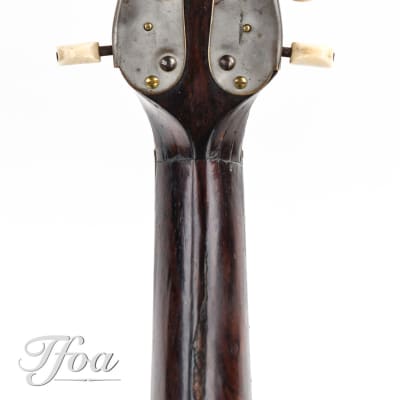 Luigi Fenga Bowlback Mandolin ca. 1920 image 6