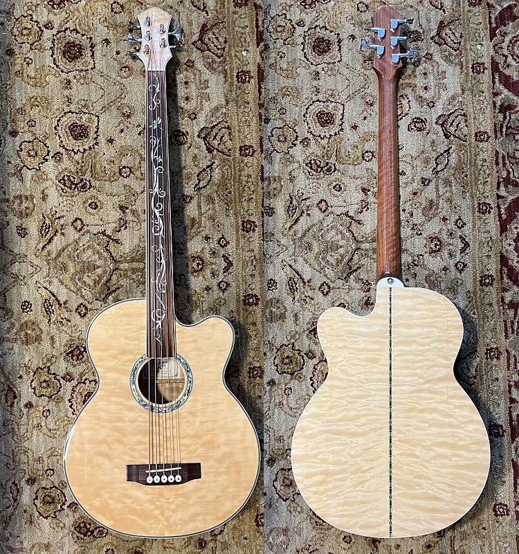 Michael Kelly Acoustic Fretless Bass Guitar Dragonfly 5FLN Reverb