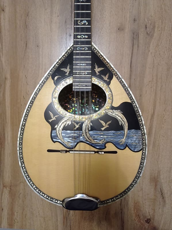 Greek Bouzouki & HARDCASE & pickup & 300 backing track 8 Reverb