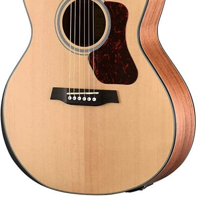Walden G550RE Natura Solid Spruce Top Armrest Grand Auditorium Acoustic-Electric Guitar - Open Pore Satin Natural for sale