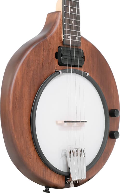 Gold Tone EB-5 Electric Banjo with Gig Bag image 1