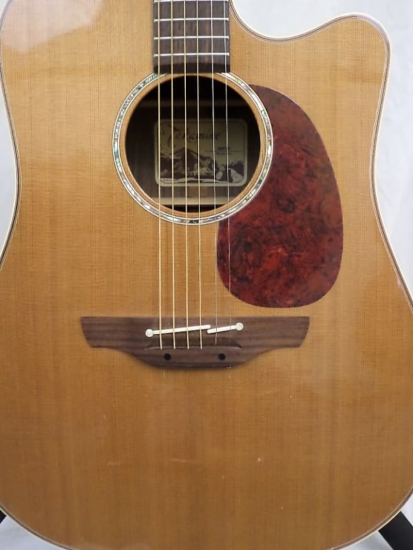 Takamine EAN15C Solid Cedar Dreadnought w/Case (Japan) Natural