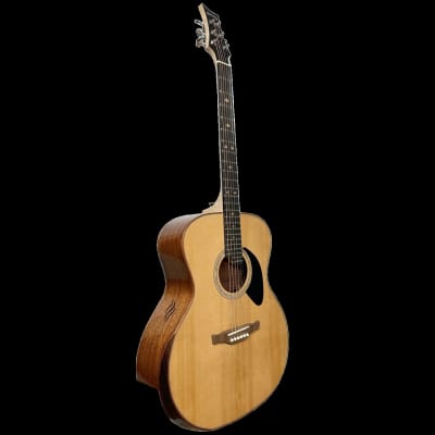 Riversong Folker (P555-A) Acoustic Guitar image 2