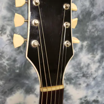 Video Demo 1958 National Dynamic  Archtop Electric Natural Carved Maple Valco Pickup Hard Shell Case image 7