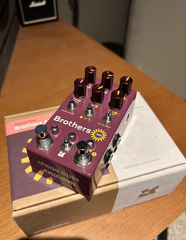 Chase Bliss Audio Brothers AM