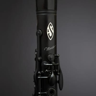 LIMITED EDITION 2025 Selmer MUSE Bb clarinet image 6
