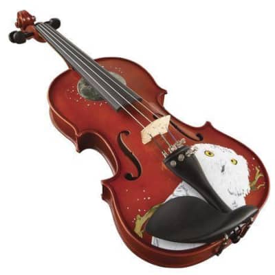Rozanna's Violins Mystic Owl  Violin Outfit - 4/4 for sale