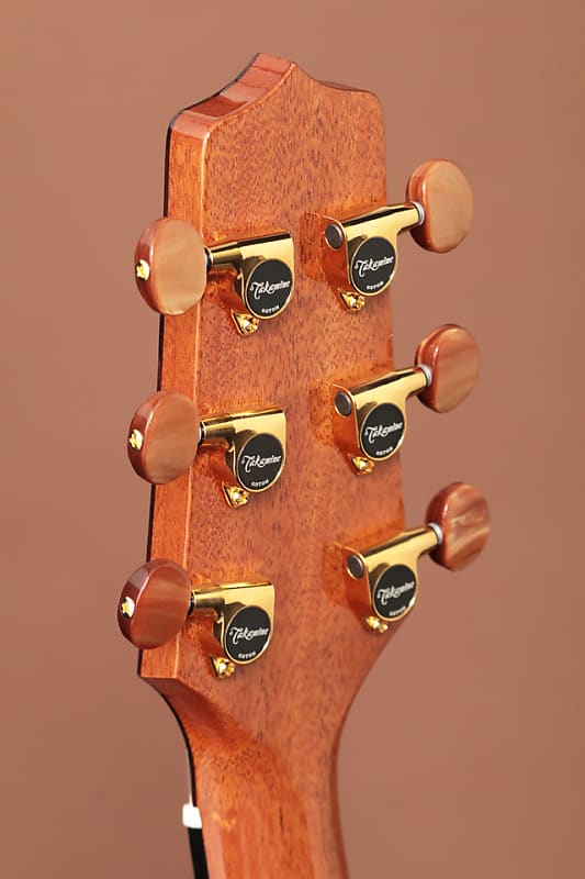 DSF46C タカミネ　エレアコ DSF46C タカミネ エレアコ DSF46C タカミネ エレアコ DSF46C