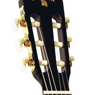 Indiana IC-25 Classical Full Size Nylon String 6-Acoustic Guitar w/Adjustable Truss Rod image 3