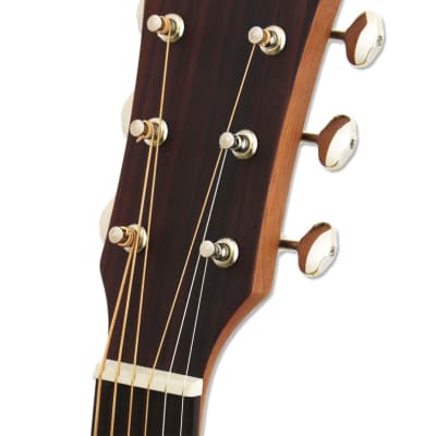 Aria ARIA-101DP 100 Series Delta Player Spruce Top OM Orchestra 6-String Acoustic Guitar-Muddy Brown image 7