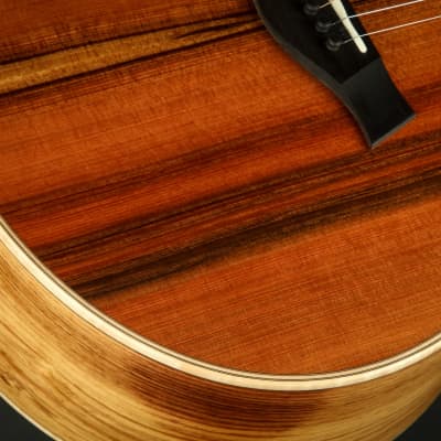Taylor Custom GC - Sinker Redwood/Honduran Rosewood image 21