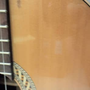 Kremona Artist Series Sofia SC-T Nylon String Classical Acoustic Guitar #8B image 2