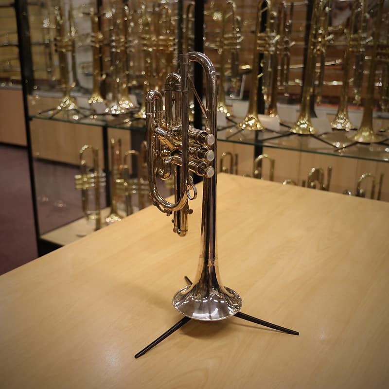 Willson cornet on sale