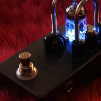 beyond Beyond Tube Pre Amp BASS WIRED GIB Limited Edition Blue LED