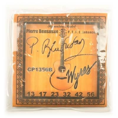 Wyres Pierre Bensusan Signature Phosphor Bronze Coated Guitar Strings 13-56 (DADGAD) for sale
