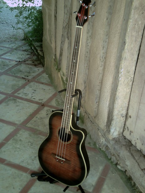 Tanglewood fretless bass online