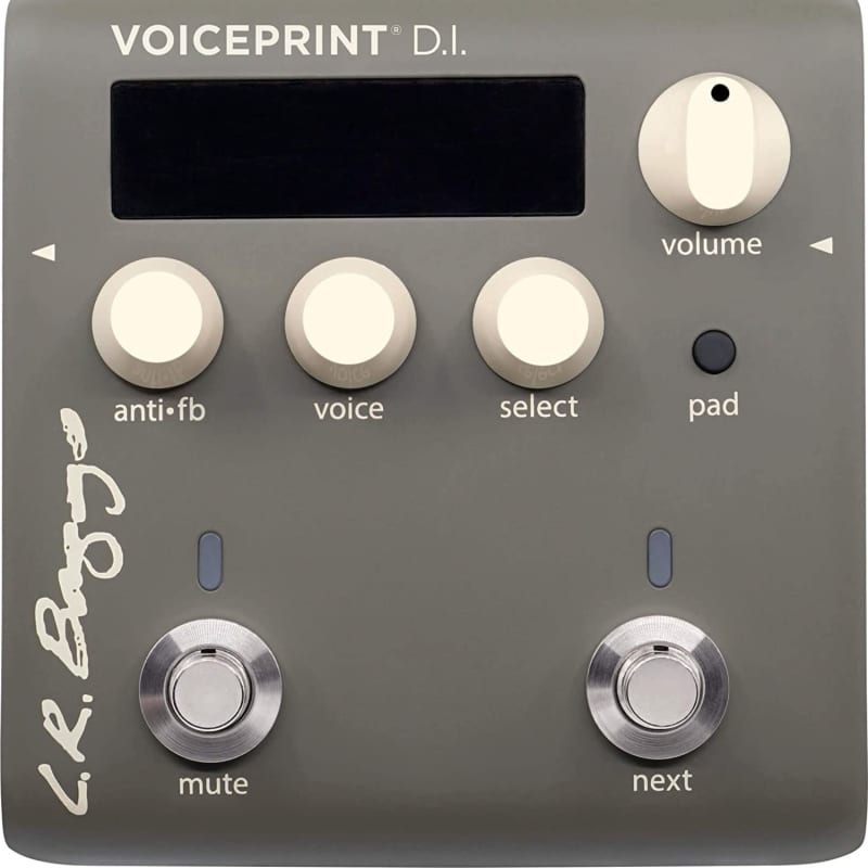 LR Baggs Voiceprint DI Acoustic Guitar Impulse Response Effects