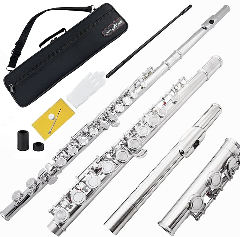 SONICAKE Closed Hole 16 Keys Flute, Silver-plated C Flutes