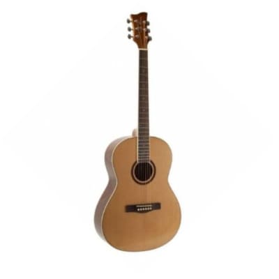 Jay Turser JTA-524D-CE-N Concert Body Acoustic-Electric Guitar with Preamp (Natural) for sale