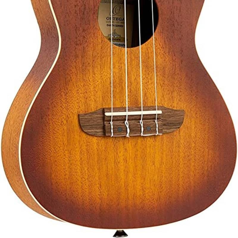 Ortega Earth Series RUCOAL-CE concert ukulele, brown | Reverb