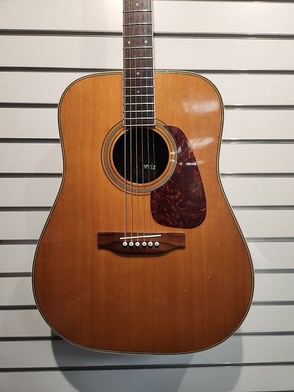 Morris MD-506 Acoustic Guitar (Cherry Hill, NJ)
