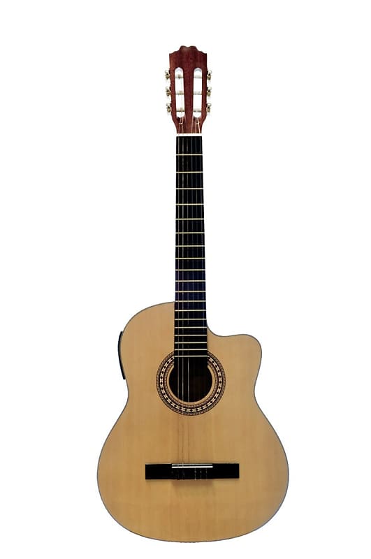 Beaver Creek BCTC901CE Full Size Acoustic/Electric Classical Guitar BCTC901 CE image 1