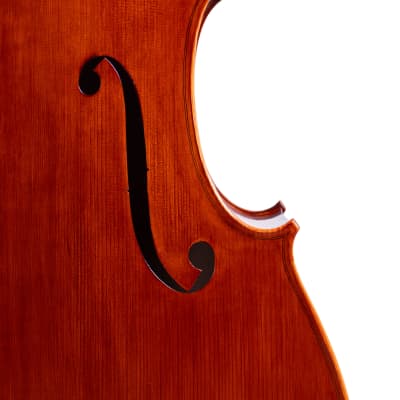 Gasparo Da Salo Doublebass 3/4 Hand-Made in Romania 2024 #5 image 4