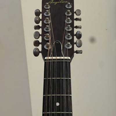 Angelica 12 String - FREE Shipping! Accepting offers. for sale