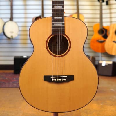Epiphone Limited Edition Hummingbird Performer PRO | Reverb