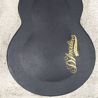 D'ANGELICO Excel DH 6 String Grey Black Finish electric guitar #DAEDHGRBGT #3 image 7