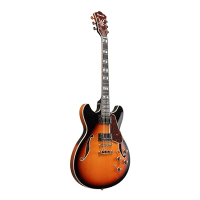 Ibanez AS113BS AS Series Artstar 6-String Hollow Body Electric Guitar (Brown Sunburst) image 2