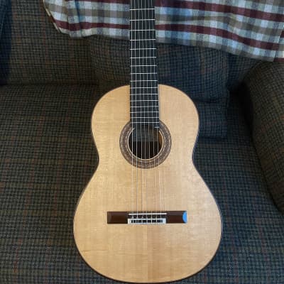 7-String Classical Concert Guitar by Michael Gee 2015 image 1