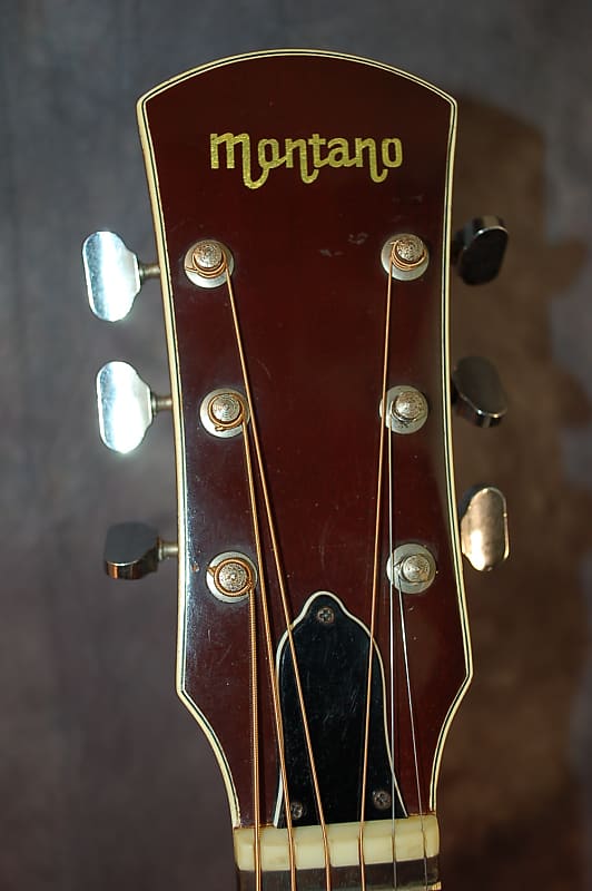 Video Demo 1975 Montano by Takamine F190 Folk Guitar Concert