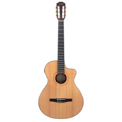 Taylor NS32ce