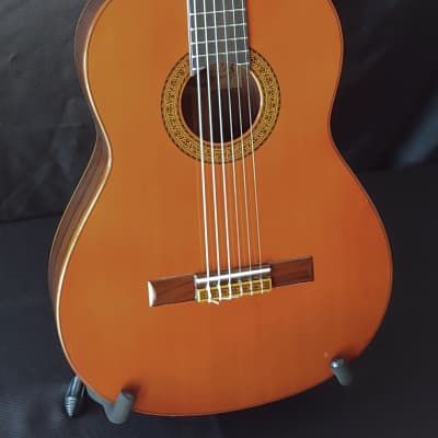 1972 Yamaha GC-10D Rosewood and Spruce Classical Guitar image 11