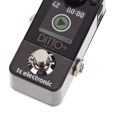 ギター DITTO+ Looper (tc electronic) TC Electronic | Product | DITTO+ LOOPER