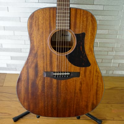 Ibanez AAD140-OPN Advanced Acoustic Dreadnought - Open Pore Natural image 1