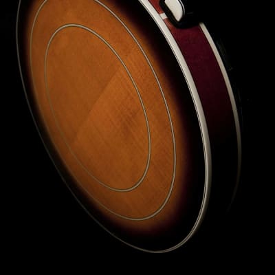 Washburn Americana Series 5-String Banjo w/ Deluxe Hard Case image 4