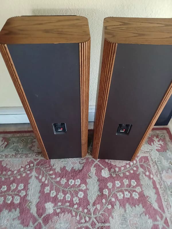 Infinity RS4B - oak | Reverb