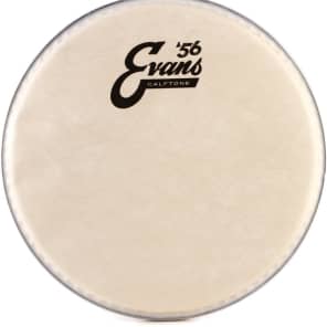 Evans Calftone Drumhead - 8 inch image 5