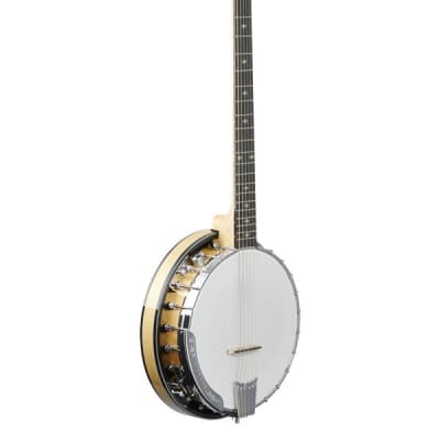 Gold Tone Banjitar Deluxe 6-String Banjo image 8