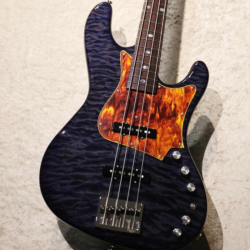 Freedom Custom Guitar Research Rhino 4st 